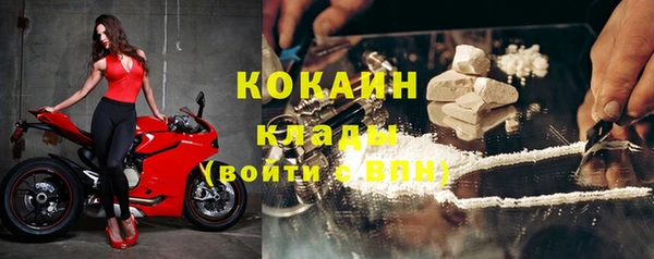 шишки Богданович